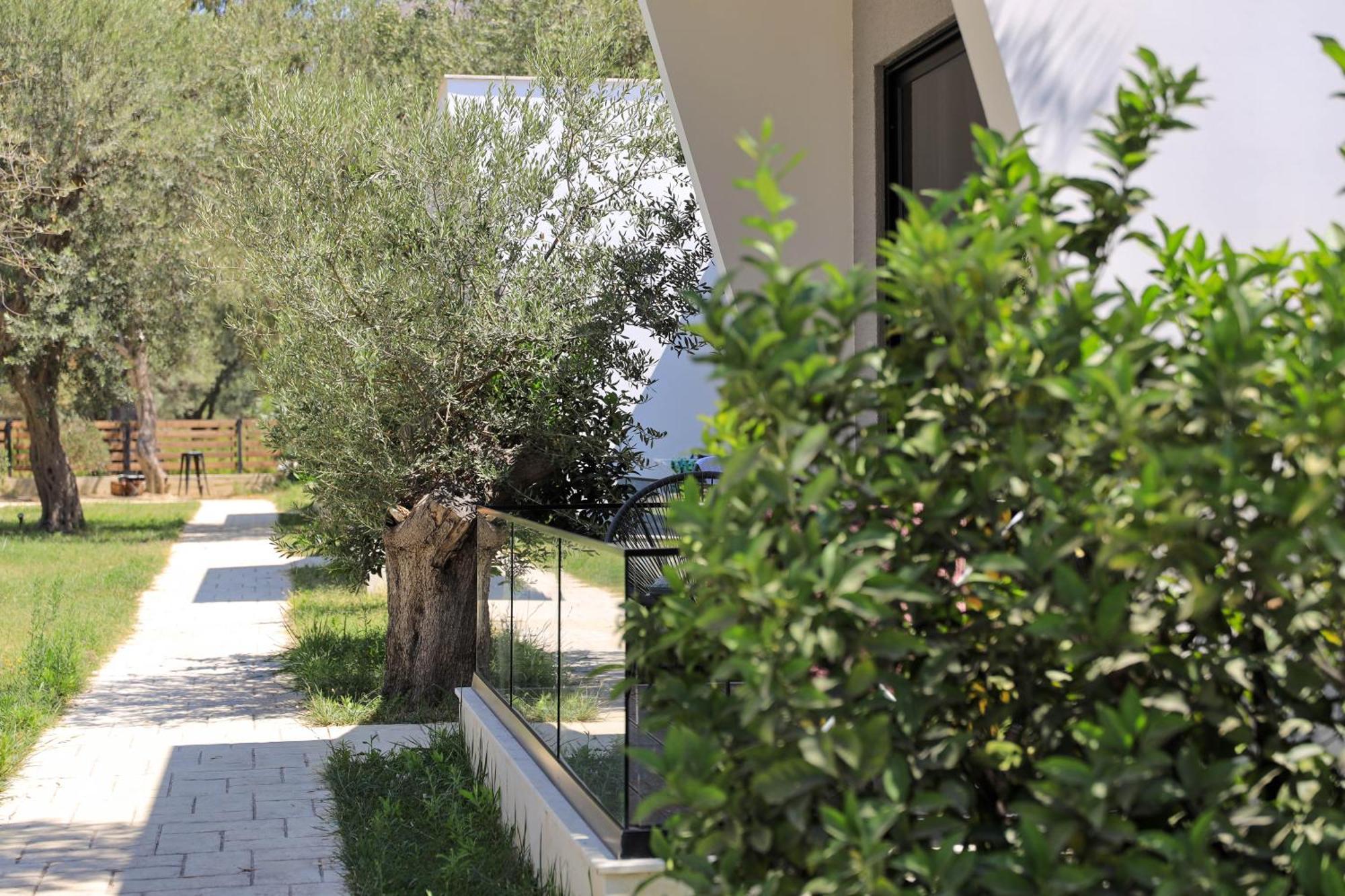 Luna Mare Seaside Suites Borsh Esterno foto